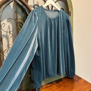 ☀️ NWT LOFT Velour Crewneck Top with Balloon Sleeves